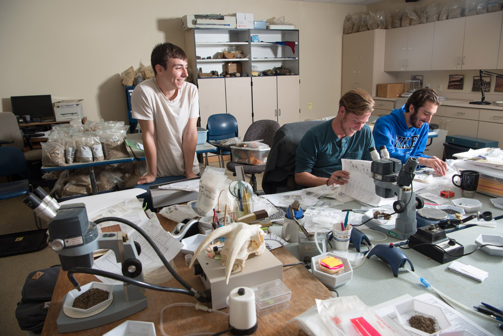 Students working in an on-site lab.
