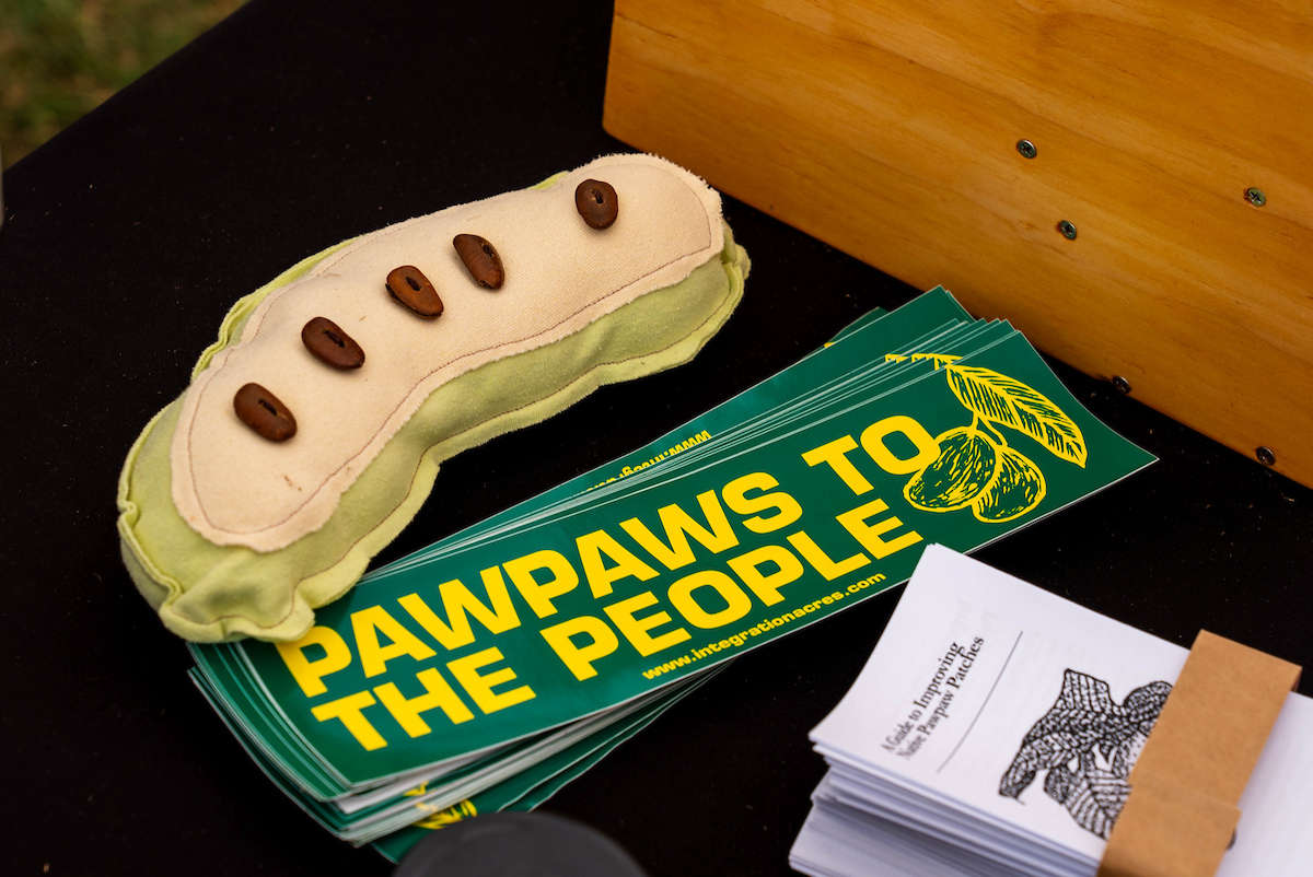 Forget pumpkins and apples - fall belongs to the Pawpaw, Ohio’s tropical native fruit