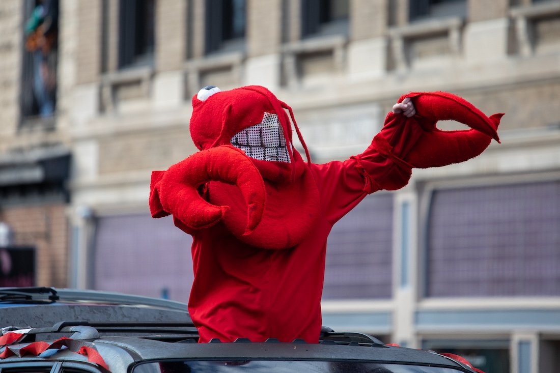 A person dressed as a lobster rides in the Homecoming parade