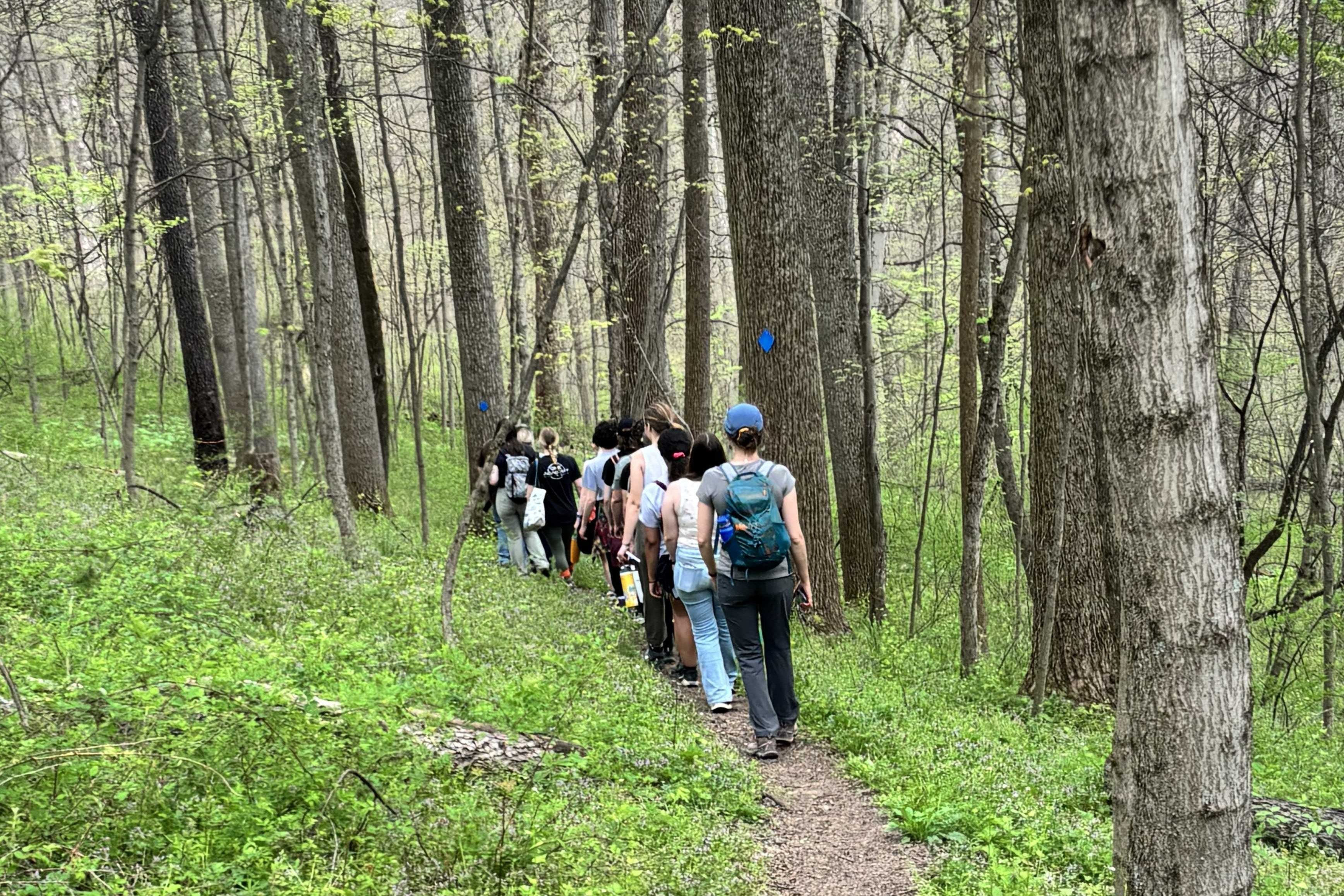 OHIO Honors course connects students to stewardship, history at Dysart Woods