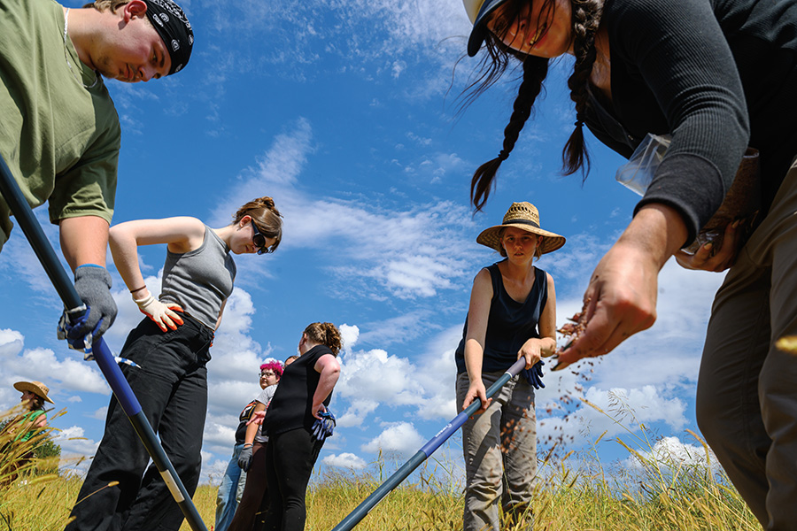 Students planting seeds
