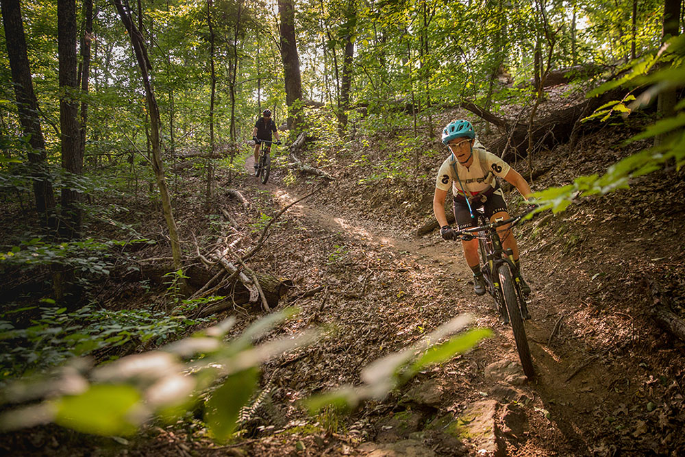 Two mountain bikers surge through the woods on the trail.