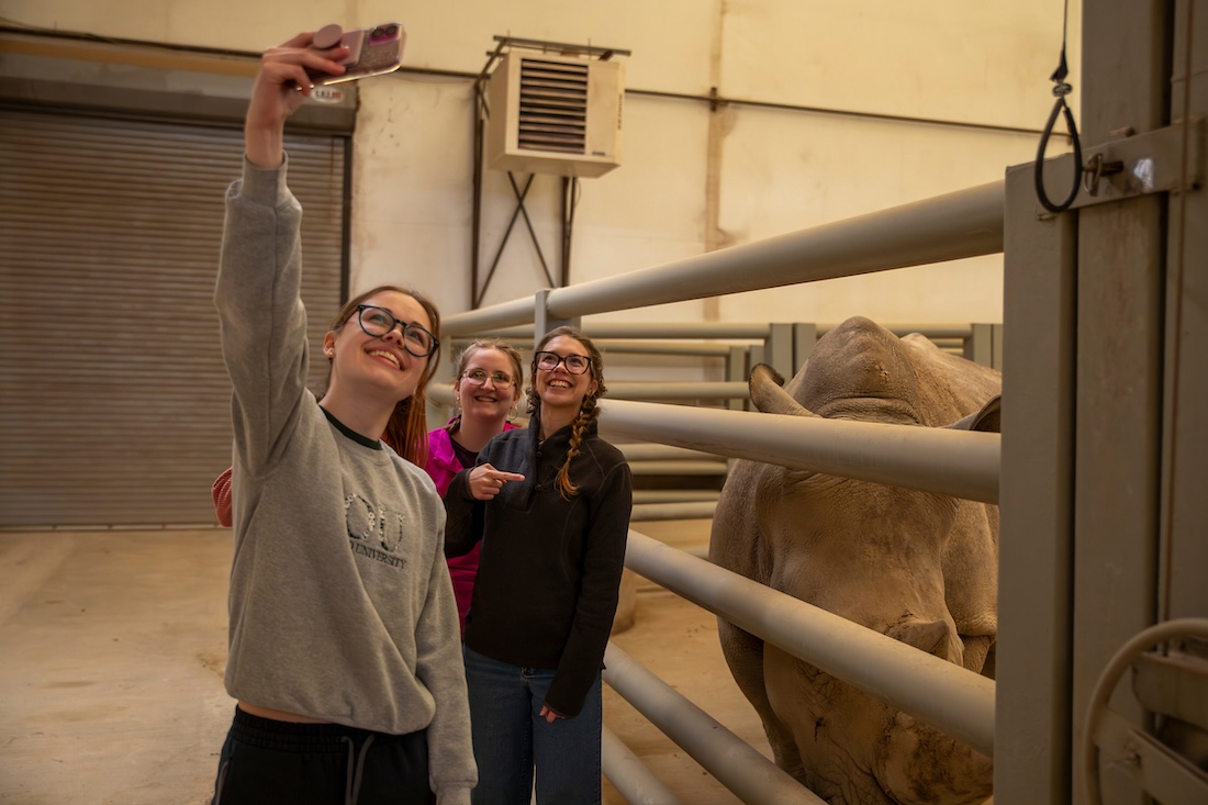 Three OU students take a selfie with a rhino