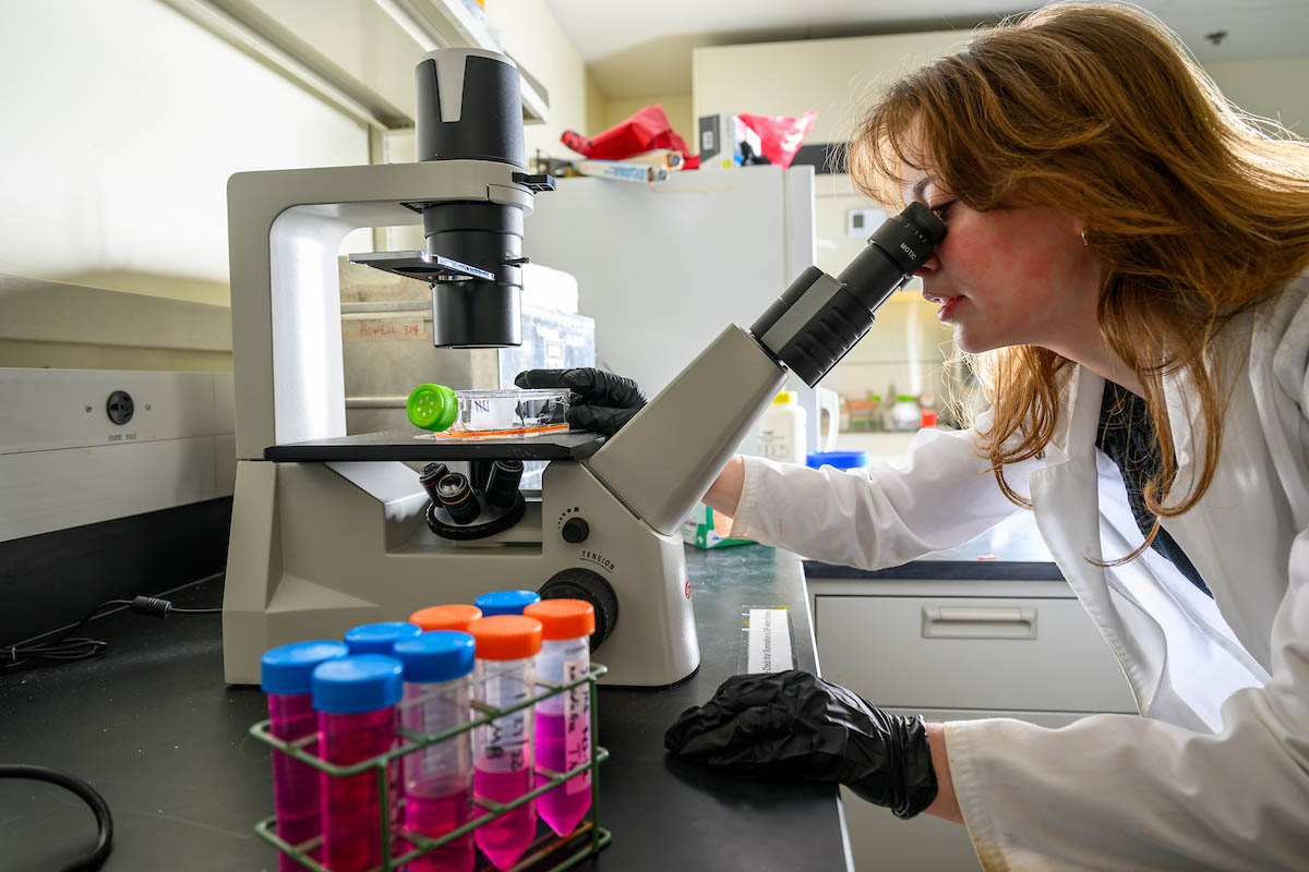 A faculty researcher conducts research in a dedicated lab space. 