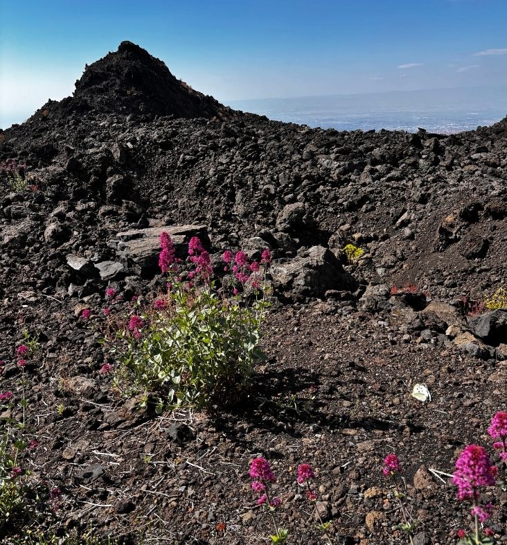 Etna Hornitos