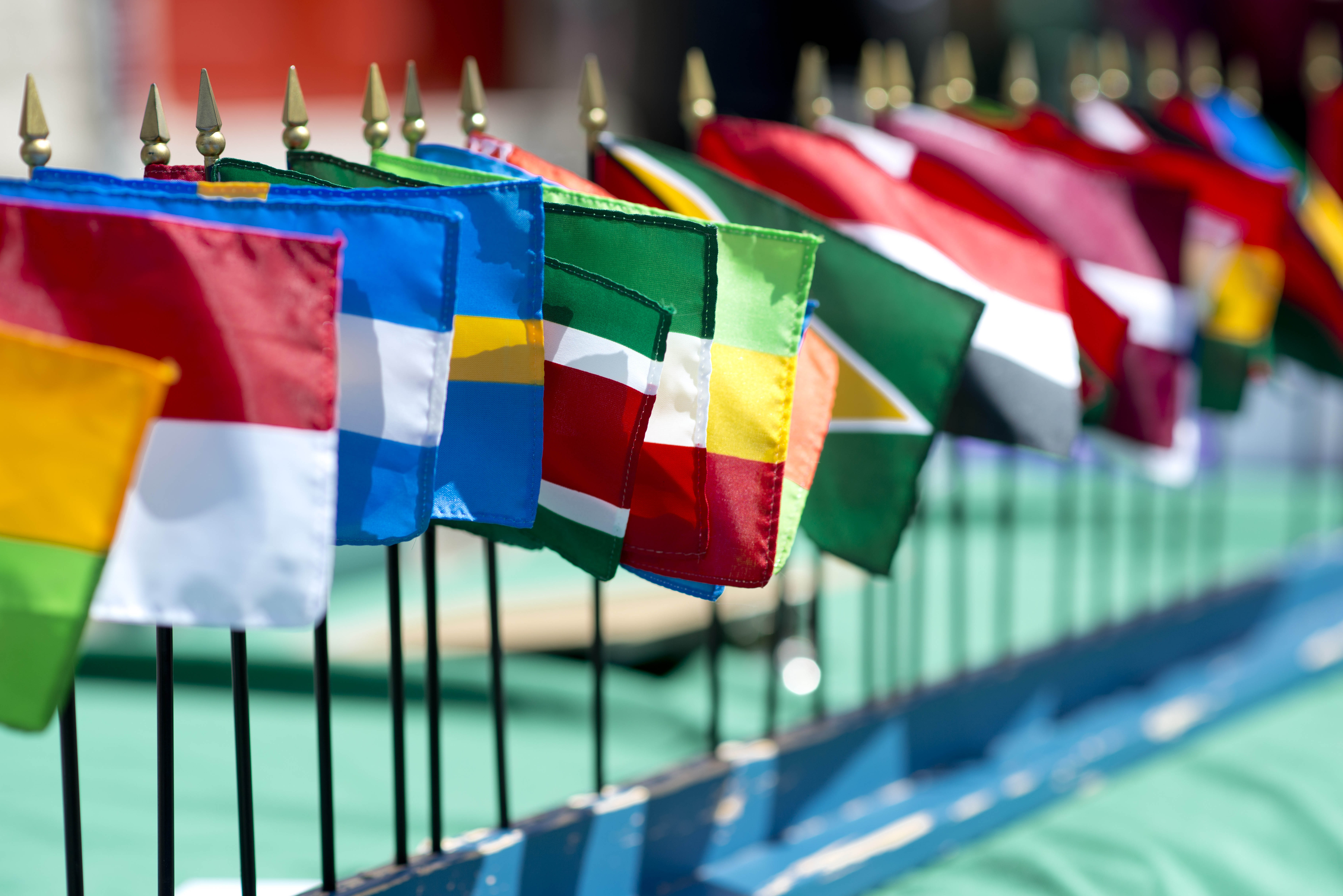 International flag