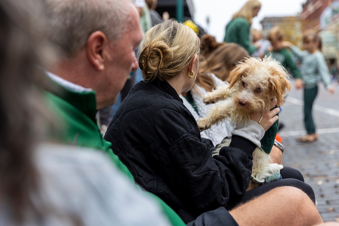 a Bobcat's pet dog enjoys the Homecoming Parade