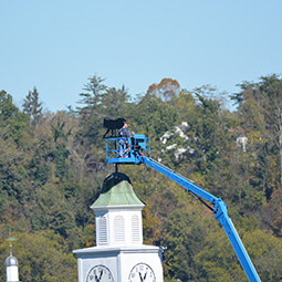 Bobcat weathervanes