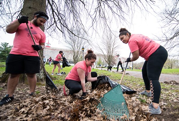 Ohio University students rake and bag leaves near the entrance to the Dairy Barn Arts Center property.