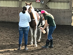 Ohio Horse Park