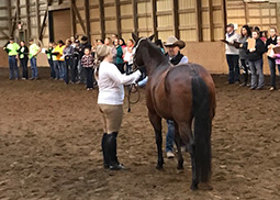 CDE youth judging competition