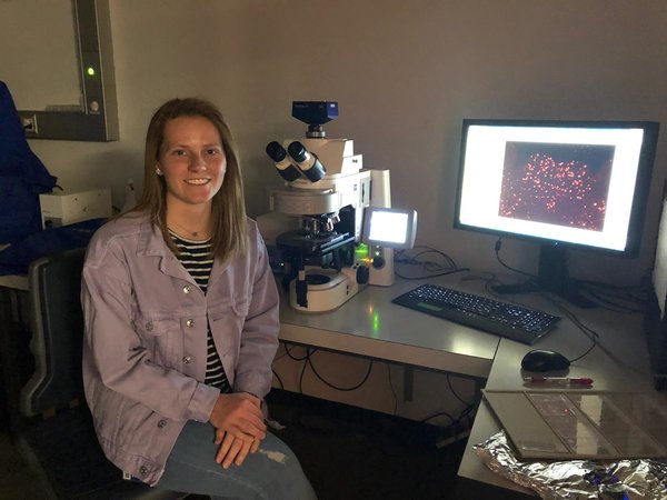 Sydney Pence at the microscope, imaging sections of the brain. The sections had been stained to indicate neuronal activation. 