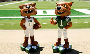 The Bobcat Store winter clearance sale features these Rufus bobbleheads.