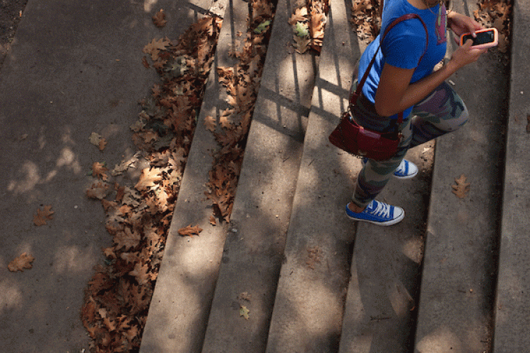 Fall Campus steps