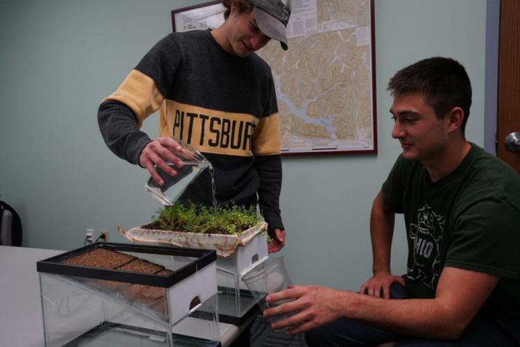 Green roof water demonstration