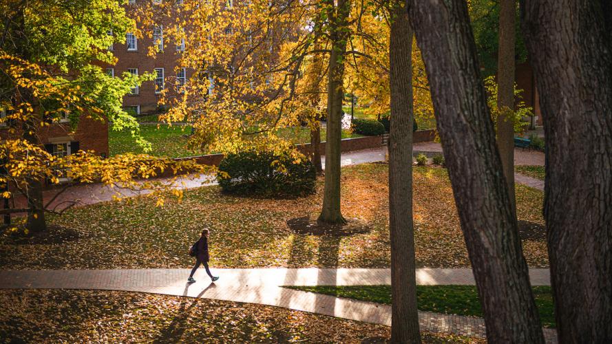 Main Campus Fall