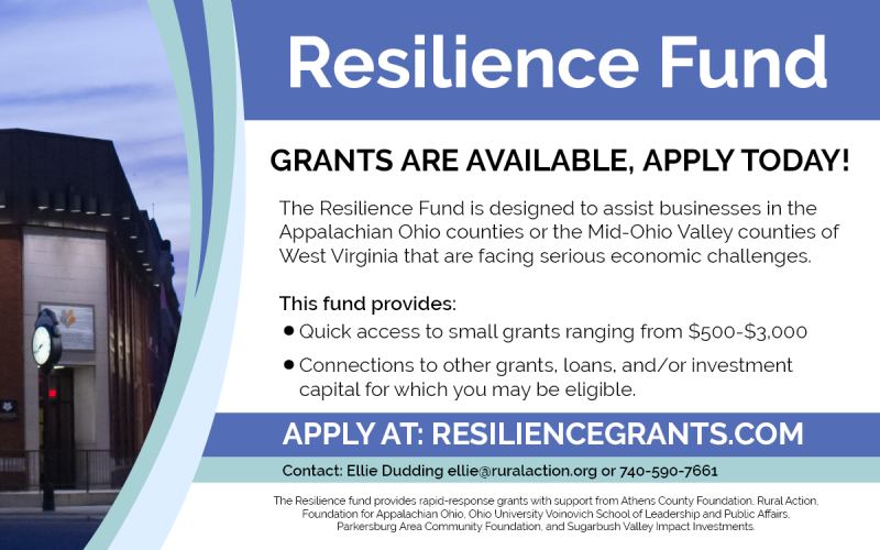 Resilience Fund 2020