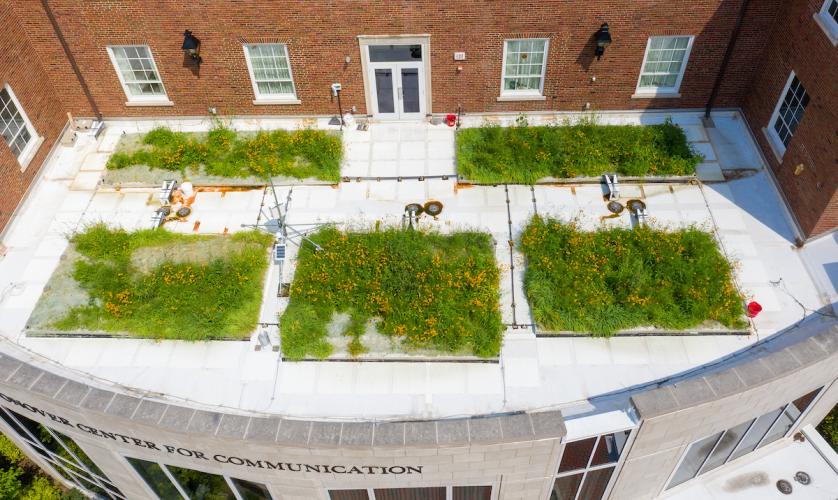Schoonover Green Roof August 2020