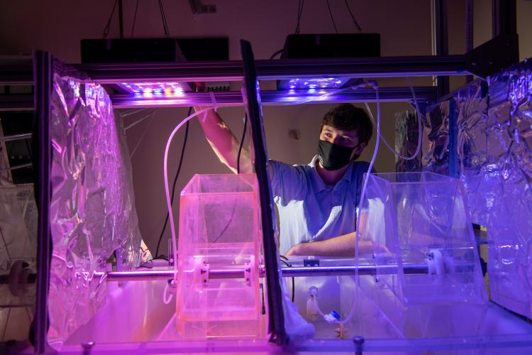 Student researcher Ed Drabold
