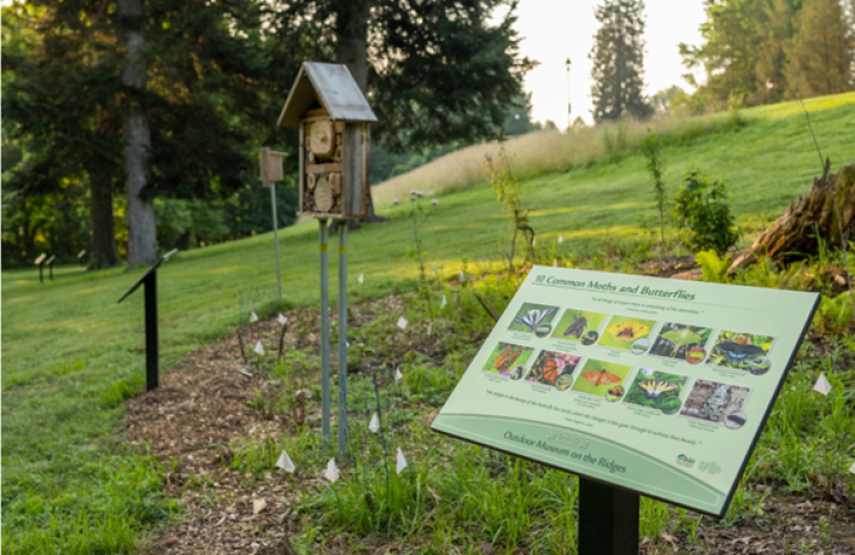 Outdoor Museum signs