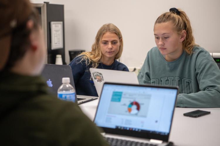 Students studying in CoLab.