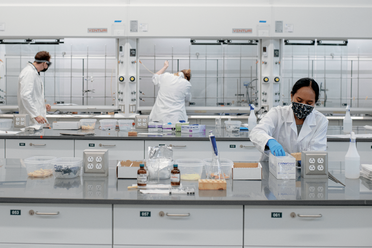 Students conduct experiments in the Chemistry Building’s Organic Chemistry Teaching Lab