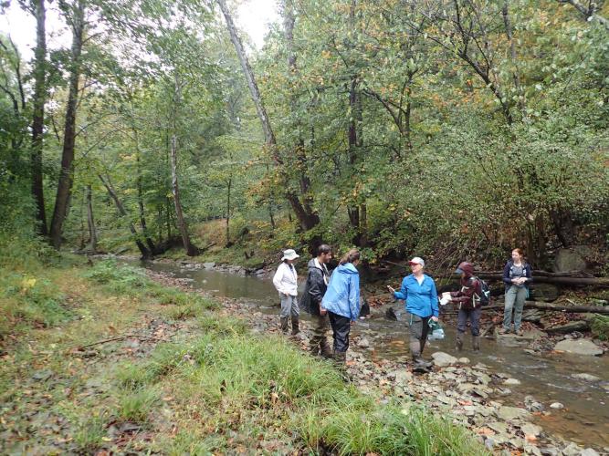 Students performing a Restoration Assessment in a State Park forest