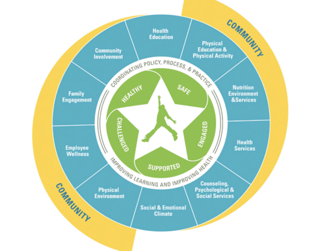 Circular model highlighting concepts like community involvement, nutrition services, and health services