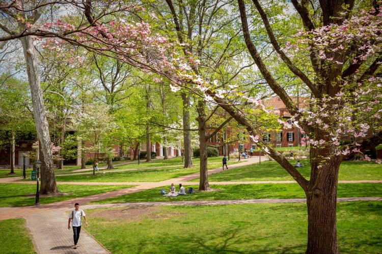 A student walks across college green in the spring. 