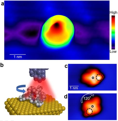 Fig. Rare-Earth Rotor. (a) STM image of a rotating Eu complex appears as a disc shape on Au(111). (b) Controlled rotations are performed by supplying electrical energy from an STM tip. (c), (d) Before and after rotation of a complex, respectively. The dashed circle indicates the counterion used for the control. 