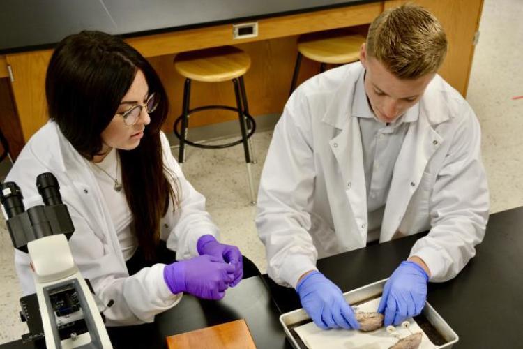 Two students working in a lab