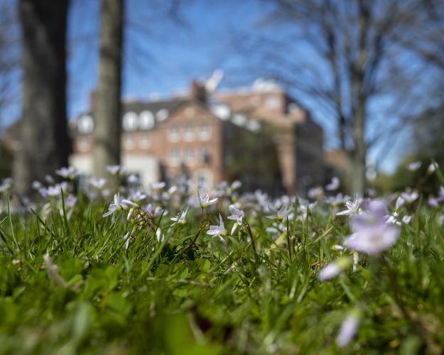 Spring flowers bloom at OHIO