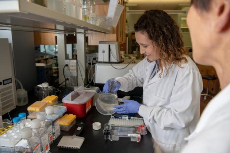 Hailee Sorensen working in a lab