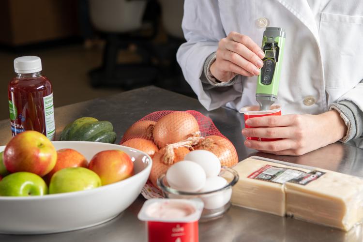 Dietician ensuring safe food handling by checking the temperature of dairy product with a digital thermometer.