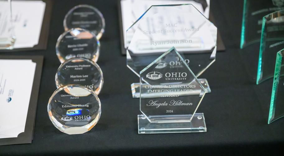 Several of the awards are shown on a table