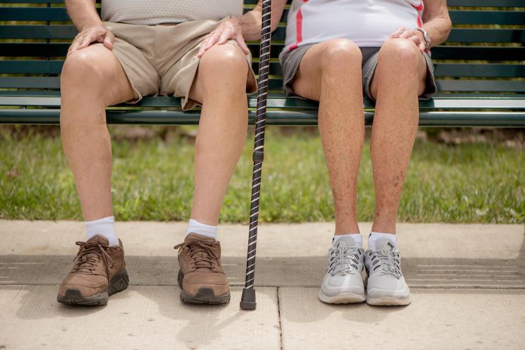 Senior citizens sitting on a bench