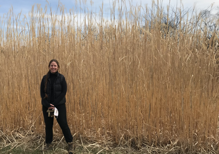 Dr. Sarah Davis is shown standing in front of miscanthus grass at The Ridges at Ohio University.