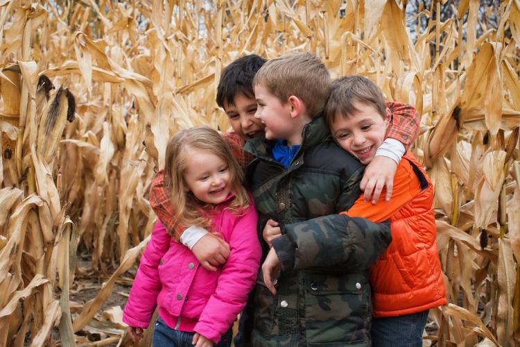 Four children are shown playing in a corn field