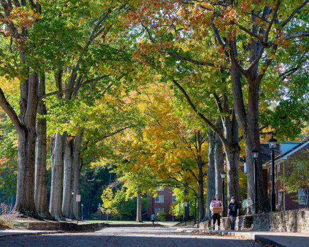 OHIO students walk on pathways surrounded by colorful trees on a Fall day on the Athens Campus