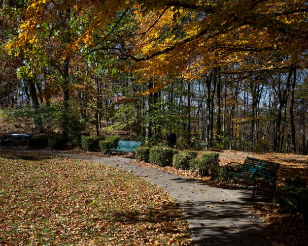 A scenic pathway near park benches and bushes is surrounded by colorful leaves during a Fall day at Ohio University Chillicothe
