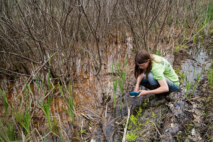 An OHIO researcher tests the water at Raccoon Creek in Southeast Ohio