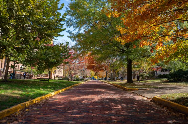 Trees with colorful Fall leaves surround a brock pathway at Ohio University