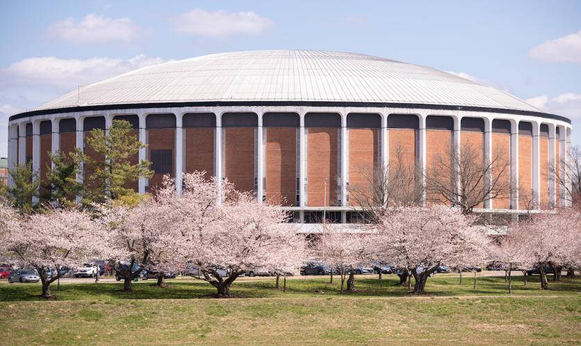 Cherry Blossom trees bloom  in front  of the Convocation Center in spring