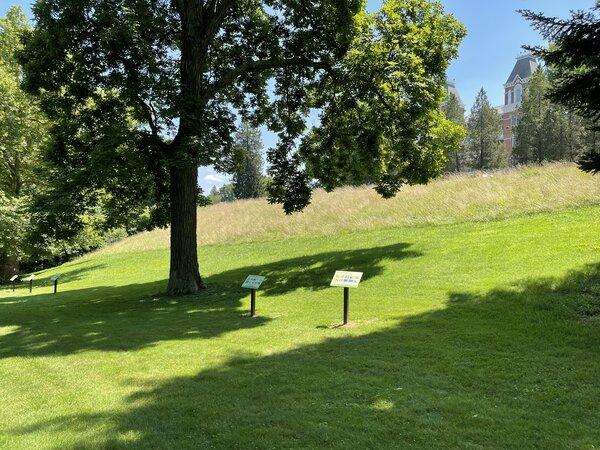 Outdoor Museum signs