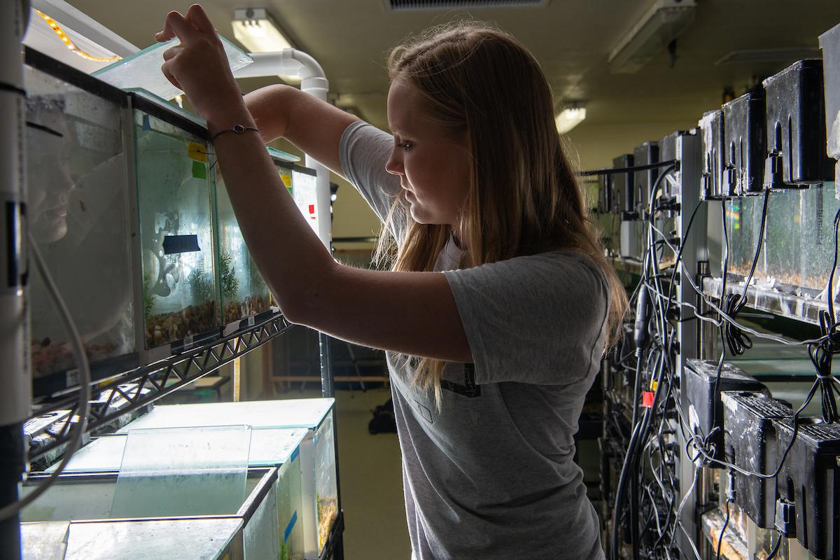 Madison Parker, center, stands between two rows of fish tanks while opening one at eye level to clean