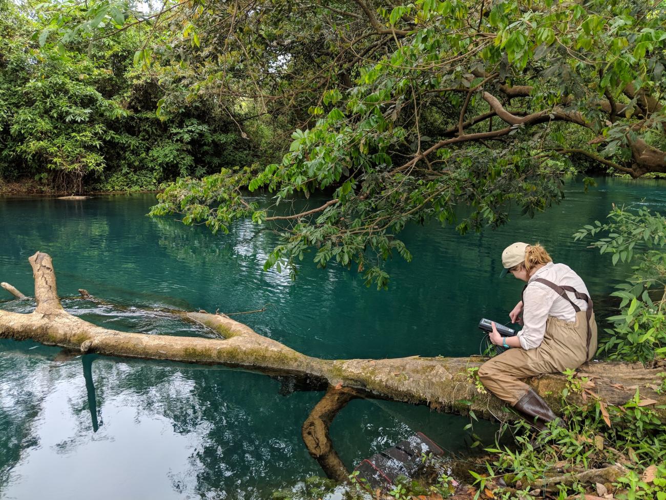 Graduate student Meredith Fitschen-Brown sits on a fallen tree over a small pond, leaned over.