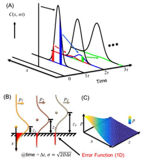 Figure 2. A problem in using discrete interpretation in describing adsorption, the fractal diffusion nature.