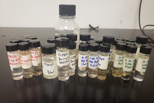 A photo of Macroinvertebrates samples