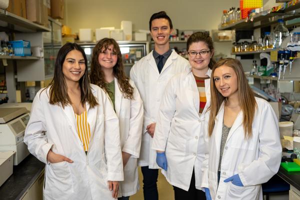 Shown in the Caroll Lab are Raeven Bastock, Emily Sudnick, Ryan Steere, Riley Zielinski and Emily Marino