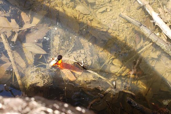 A photo of leaf collection bag sin a stream